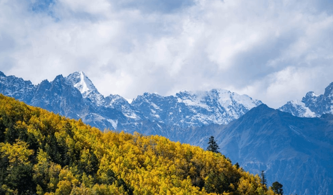 西藏芒康：红拉山上秋意浓