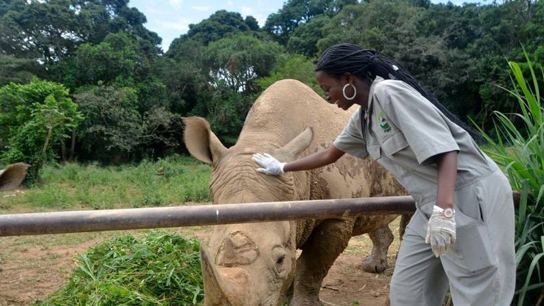 乌干达：世界犀牛日