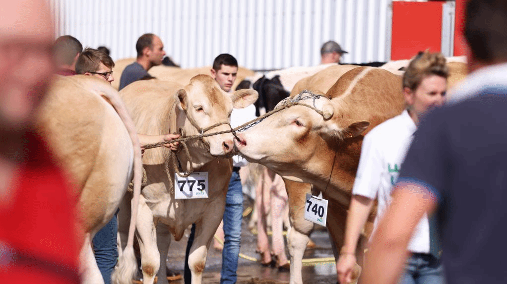 2022法国雷恩畜牧业展览会开幕