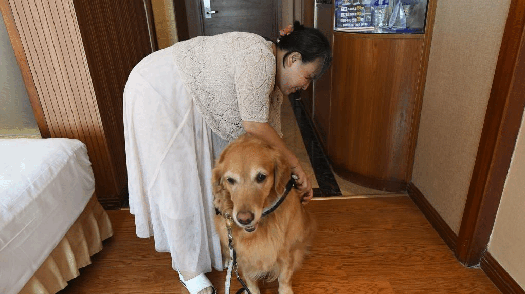张莉和她的导盲犬的故事
