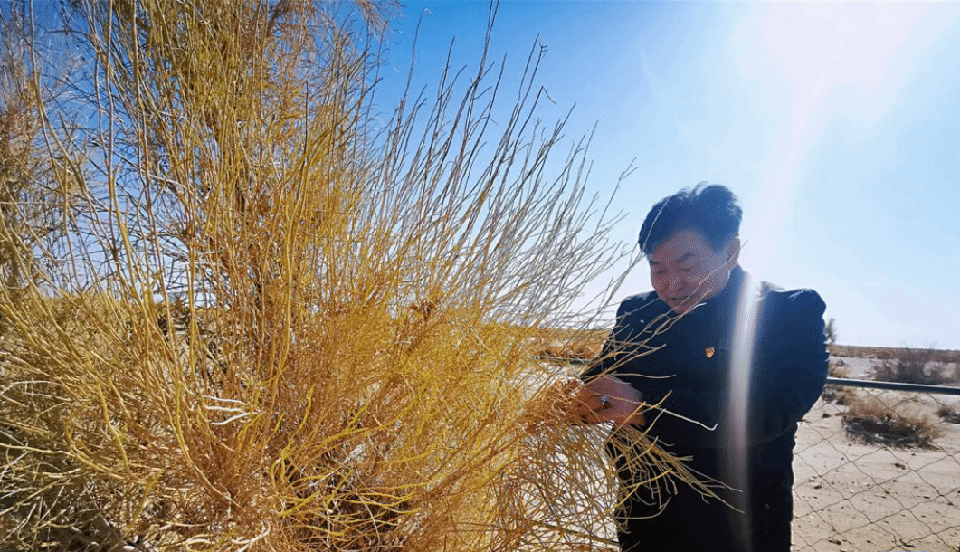 内蒙古乌拉特草原牧民：守护北疆绿色生态屏障