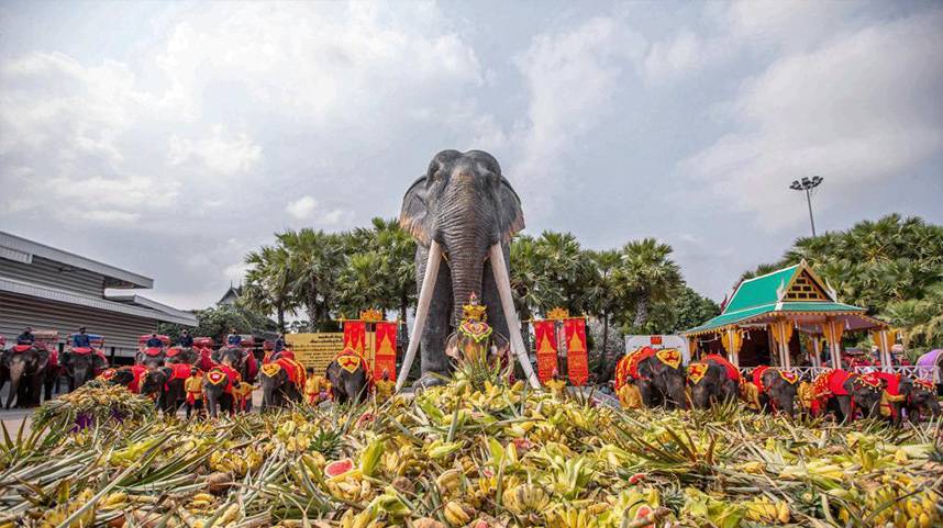 泰国大象日：大象享用自助餐