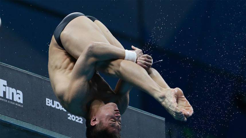 游泳世锦赛｜跳水——杨健获得男子10米台冠军