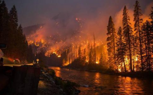 林草局：今年以来森林火灾同比减少近四成