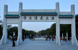武汉大学将组织援鄂医护人员精品赏樱专场