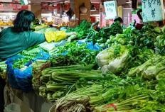 农业农村部：我国蔬菜供应充足 价格将呈现季节性回落