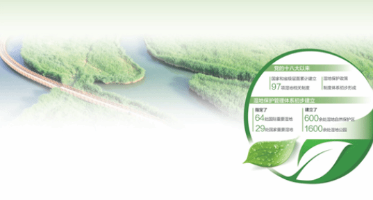 湿地保护法正式施行 多地加大力度强化措施
