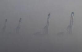 大雾黄色预警 渤海黄海等部分海域能见度不足1公里