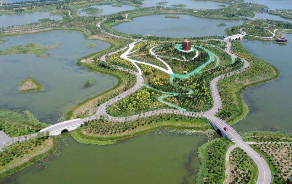 天津打造绿色生态屏障为城市“热岛”降温