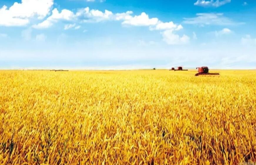 农业农村部启动实施农垦两项行动推动粮油产能提升