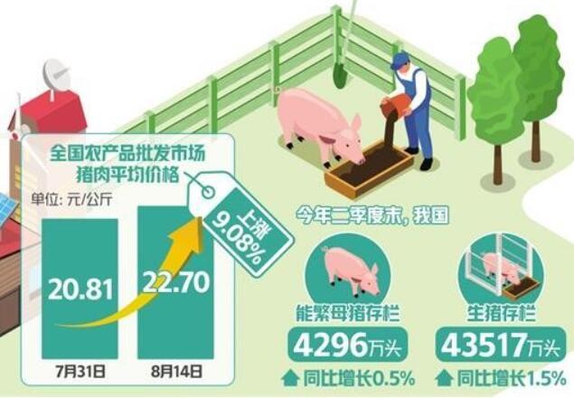 预计下半年猪肉供需总体平衡 猪价将在合理范围内波动