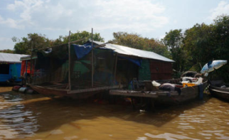 柬埔寨洪涝致超31万人受灾 稻田大面积被淹
