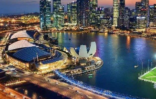 新加坡参展商热议进博会：商机无限 未来无限
