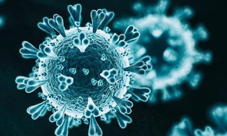 又有三国陆续确认发现变异新冠病毒感染者