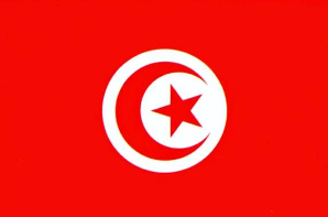 突尼斯12日宣布将实施为期4天的全面封禁措施