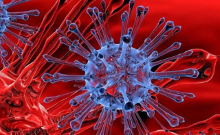研究显示英国发现的变异病毒致死风险更高