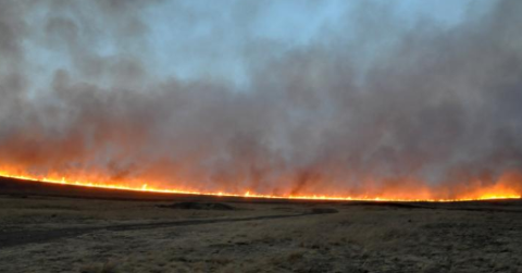 蒙古国东部发生一起草原火灾 正在全力扑救