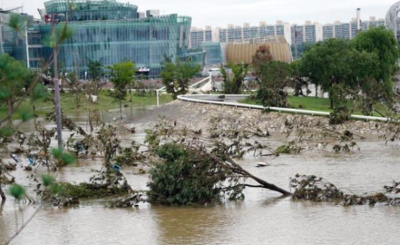韩政府将遭受暴雨灾害7个地区定为特别灾区