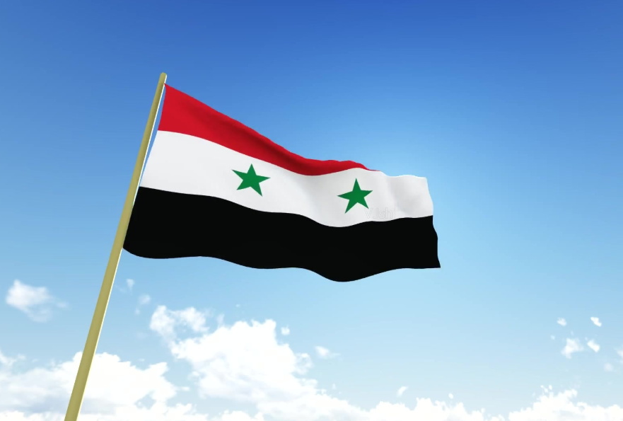 叙利亚政府反对将病毒溯源问题政治化