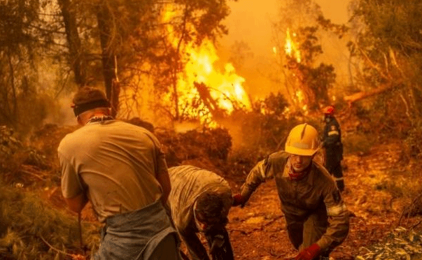 希腊总理为应对森林大火不力道歉 政府发布援助措施