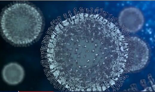 法国发现新型新冠病毒变异毒株“IHU”