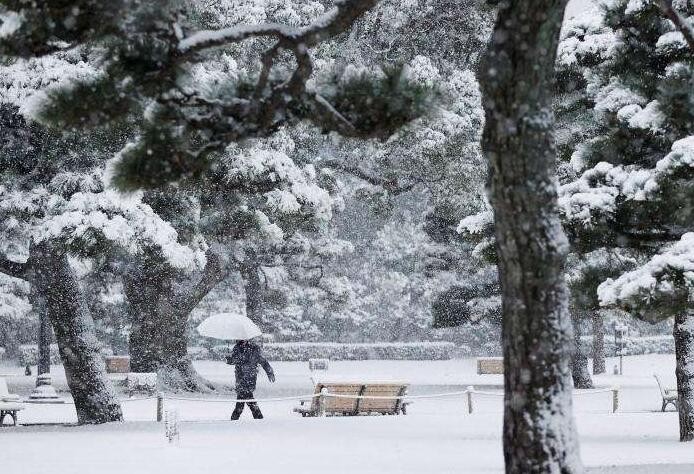 日本首都圈普降暴雪 东京都23区发布暴雪警报