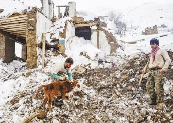 阿富汗东部发生雪崩20人死亡 已找到15具遇难者遗体