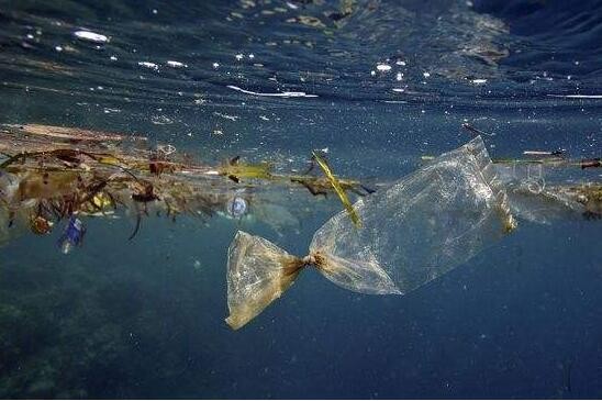 联合国官员呼吁各国携手治理海洋塑料污染