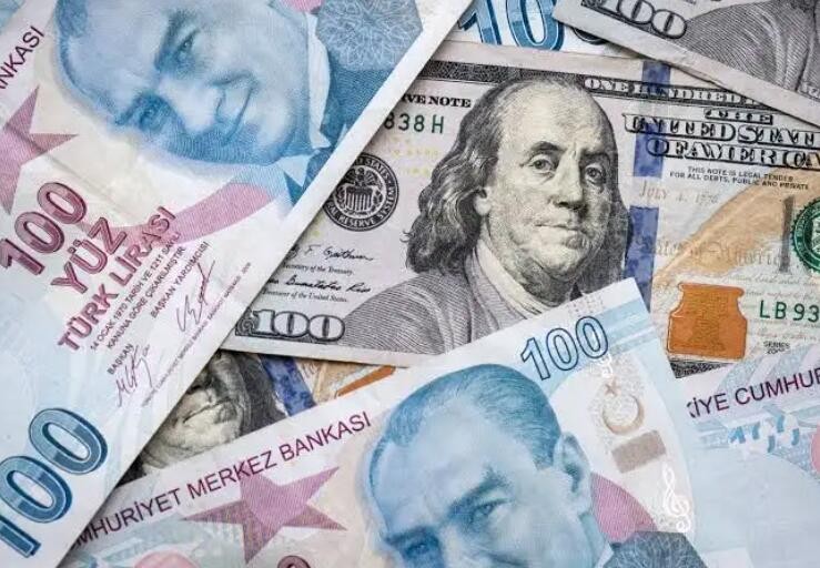 土耳其里拉对美元汇率创近5个月新低