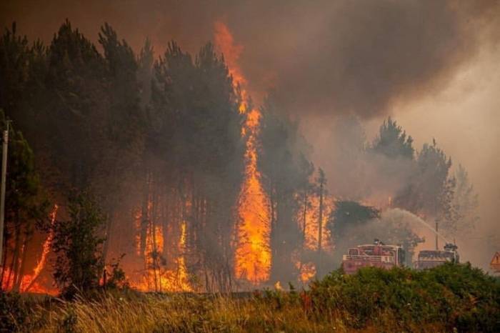 法国多地再度遭遇森林火灾 7名消防员受伤