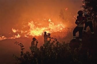 欧洲的“火” 肆虐的山火以及历史性的干旱