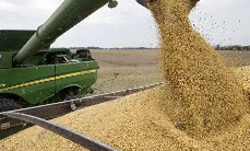 俄农业部：今年下半年俄准备出口3000万吨粮食