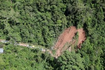 巴西亚马孙地区发现88.5米大树 或为世界最高