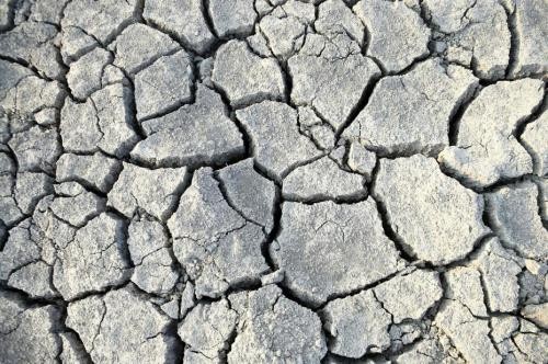 联合国：非洲部分地区面临前所未有的干旱紧急情况