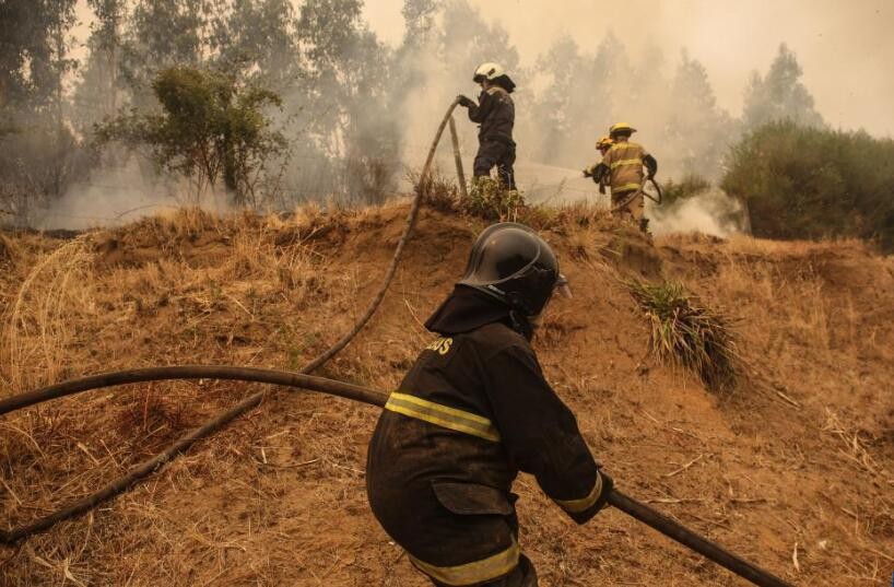 智利森林火灾死亡人数升至23人
