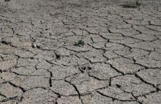 西班牙长期干旱影响该国60%农村地区