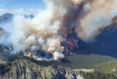 加拿大野火过火面积逾千万公顷破纪录 又一消防员牺牲