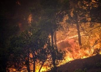 希腊野火再起 欧盟增派消防员和消防飞机驰援灭火