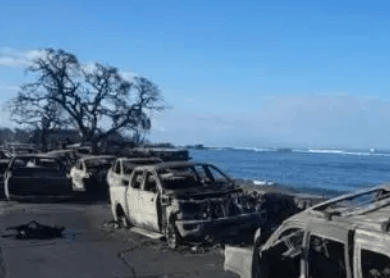 美国官方数据：仍有385人因夏威夷野火失踪