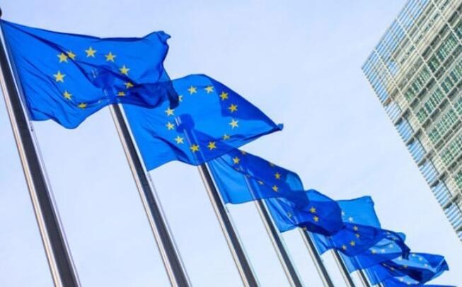 欧盟9国呼吁加强合作应对地区性挑战