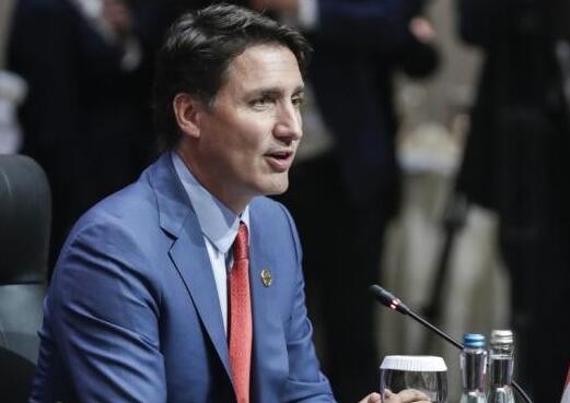 加总理：加拿大将向乌克兰交付1.1万支突击步枪