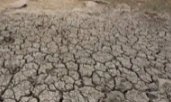 《全球干旱概况》：全球干旱已达前所未有的紧急状况