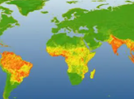 世卫组织：今年全球登革热病例激增 接近历史峰值