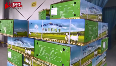 分羊啦 550箱蒙古国捐赠羊送至抗疫医务工作者