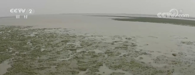 受近期降雨影响 鄱阳湖结束了这一轮的枯水期