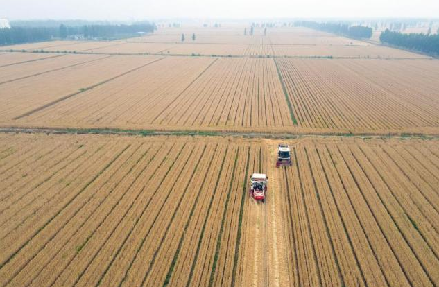 农业农村部：全国麦收过六成 机收比例超98%