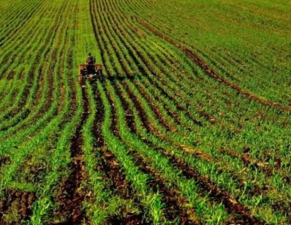 11部门：增强国内化肥生产供应能力 支持春季农业生产