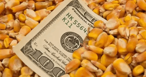 联合国粮农组织：全球食品价格指数连续六个月下跌