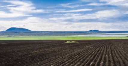 东北四省（区）3年来 实施黑土地保护性耕作超2亿亩次