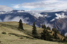 青藏高原生态保护法草案进一步加强生物多样性保护